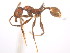  ( - 08COSTA-1937)  @12 [ ] Unspecified (default): All Rights Reserved  Unspecified Unspecified