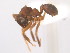 ( - 08COSTA-1943)  @13 [ ] Unspecified (default): All Rights Reserved  Unspecified Unspecified