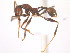 ( - 08COSTA-1945)  @12 [ ] Unspecified (default): All Rights Reserved  Unspecified Unspecified