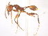  ( - 08COSTA-1956)  @13 [ ] Unspecified (default): All Rights Reserved  Unspecified Unspecified