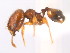  ( - 08COSTA-1959)  @12 [ ] Unspecified (default): All Rights Reserved  Unspecified Unspecified