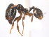  ( - 08COSTA-1966)  @12 [ ] Unspecified (default): All Rights Reserved  Unspecified Unspecified