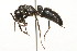  ( - 08COSTA-1970)  @15 [ ] Unspecified (default): All Rights Reserved  Unspecified Unspecified