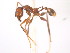  ( - 08COSTA-1972)  @13 [ ] Unspecified (default): All Rights Reserved  Unspecified Unspecified