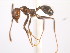  ( - 08COSTA-1974)  @13 [ ] Unspecified (default): All Rights Reserved  Unspecified Unspecified