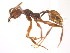  ( - 08COSTA-1988)  @13 [ ] Unspecified (default): All Rights Reserved  Unspecified Unspecified