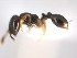  ( - 08COSTA-1990)  @13 [ ] Unspecified (default): All Rights Reserved  Unspecified Unspecified
