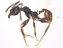  ( - 08COSTA-2102)  @13 [ ] Unspecified (default): All Rights Reserved  Unspecified Unspecified