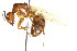  ( - 08COSTA-2160)  @11 [ ] Unspecified (default): All Rights Reserved  Unspecified Unspecified