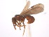  ( - 08COSTA-2163)  @13 [ ] Unspecified (default): All Rights Reserved  Unspecified Unspecified