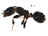  ( - 10COSTA-0027)  @13 [ ] CreativeCommons - Attribution (2017) CBG Photography Group Centre for Biodiversity Genomics
