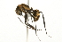  ( - 10COSTA-0109)  @13 [ ] Unspecified (default): All Rights Reserved  Unspecified Unspecified