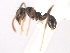  ( - 10COSTA-0123)  @13 [ ] Unspecified (default): All Rights Reserved  Unspecified Unspecified