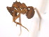  ( - 10COSTA-0828)  @13 [ ] Unspecified (default): All Rights Reserved  Unspecified Unspecified