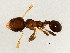  ( - 10COSTA-0264)  @12 [ ] CreativeCommons - Attribution (2012) CBG Photography Group Centre for Biodiversity Genomics