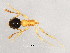  ( - 10COSTA-0053)  @12 [ ] CreativeCommons - Attribution (2012) CBG Photography Group Centre for Biodiversity Genomics