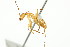  ( - 10COSTA-0872)  @13 [ ] Unspecified (default): All Rights Reserved  Unspecified Unspecified