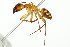  ( - 10COSTA-0880)  @15 [ ] Unspecified (default): All Rights Reserved  Unspecified Unspecified