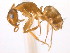  ( - 10COSTA-0896)  @13 [ ] Unspecified (default): All Rights Reserved  Unspecified Unspecified