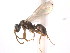  ( - 10COSTA-0968)  @14 [ ] Unspecified (default): All Rights Reserved  Unspecified Unspecified