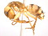  ( - 10COSTA-1021)  @14 [ ] Unspecified (default): All Rights Reserved  Unspecified Unspecified