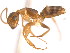  ( - 10COSTA-1027)  @12 [ ] Unspecified (default): All Rights Reserved  Unspecified Unspecified