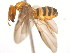  ( - 10COSTA-1070)  @12 [ ] Unspecified (default): All Rights Reserved  Unspecified Unspecified