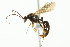  ( - 10COSTA-1074)  @14 [ ] Unspecified (default): All Rights Reserved  Unspecified Unspecified