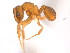  ( - 10COSTA-1093)  @13 [ ] Unspecified (default): All Rights Reserved  Unspecified Unspecified