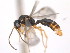  ( - 10COSTA-1111)  @13 [ ] Unspecified (default): All Rights Reserved  Unspecified Unspecified