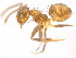  ( - 10COSTA-1169)  @14 [ ] Unspecified (default): All Rights Reserved  Unspecified Unspecified