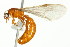  ( - 10COSTA-1192)  @14 [ ] Unspecified (default): All Rights Reserved  Unspecified Unspecified