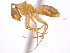 ( - 10COSTA-1205)  @14 [ ] Unspecified (default): All Rights Reserved  Unspecified Unspecified
