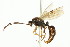  ( - 10COSTA-1234)  @14 [ ] Unspecified (default): All Rights Reserved  Unspecified Unspecified