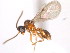  ( - 10COSTA-1292)  @13 [ ] Unspecified (default): All Rights Reserved  Unspecified Unspecified