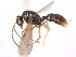  ( - 10COSTA-1334)  @13 [ ] Unspecified (default): All Rights Reserved  Unspecified Unspecified