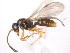  ( - 10COSTA-1340)  @14 [ ] Unspecified (default): All Rights Reserved  Unspecified Unspecified