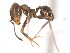  ( - 10COSTA-1364)  @14 [ ] Unspecified (default): All Rights Reserved  Unspecified Unspecified