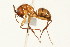  ( - 08COSTA-0506)  @13 [ ] Unspecified (default): All Rights Reserved  Unspecified Unspecified