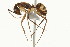  ( - 08COSTA-0242)  @13 [ ] Unspecified (default): All Rights Reserved  Unspecified Unspecified