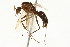  ( - 08COSTA-0340)  @13 [ ] Unspecified (default): All Rights Reserved  Unspecified Unspecified