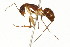  ( - 08COSTA-0404)  @13 [ ] Unspecified (default): All Rights Reserved  Unspecified Unspecified
