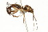  ( - 08COSTA-0434)  @13 [ ] Unspecified (default): All Rights Reserved  Unspecified Unspecified