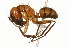  ( - 08COSTA-0439)  @14 [ ] Unspecified (default): All Rights Reserved  Unspecified Unspecified