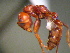 ( - MAS300-08)  @12 [ ] Unspecified (default): All Rights Reserved  Unspecified Unspecified