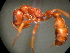  ( - MAS196-08)  @12 [ ] Unspecified (default): All Rights Reserved  Unspecified Unspecified