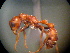  ( - MAS287-08)  @12 [ ] Unspecified (default): All Rights Reserved  Unspecified Unspecified