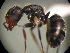  ( - MAS169-08)  @13 [ ] Unspecified (default): All Rights Reserved  Unspecified Unspecified