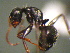  ( - MAS458-08)  @12 [ ] Unspecified (default): All Rights Reserved  Unspecified Unspecified