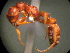  ( - MAS173-08)  @12 [ ] Unspecified (default): All Rights Reserved  Unspecified Unspecified